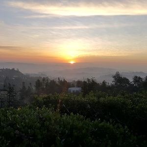 Meet your Posher, Jane